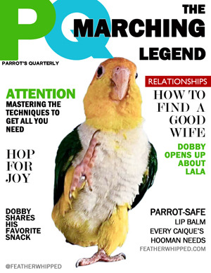 FeatherWhipped Magazine Issue 2